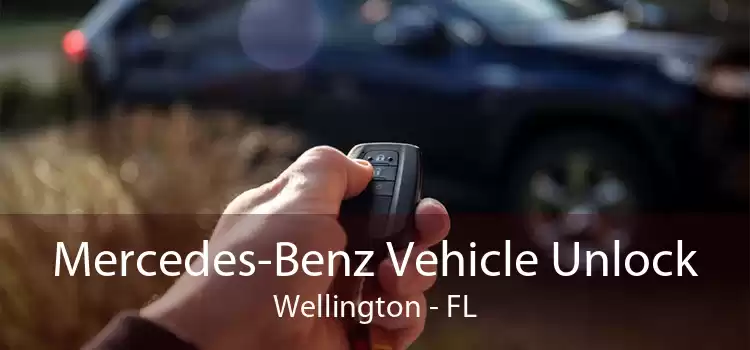 Mercedes-Benz Vehicle Unlock Wellington - FL