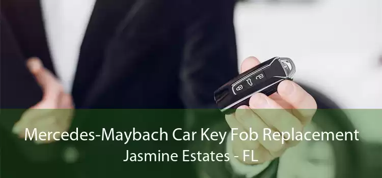 Mercedes-Maybach Car Key Fob Replacement Jasmine Estates - FL