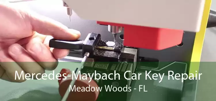 Mercedes-Maybach Car Key Repair Meadow Woods - FL