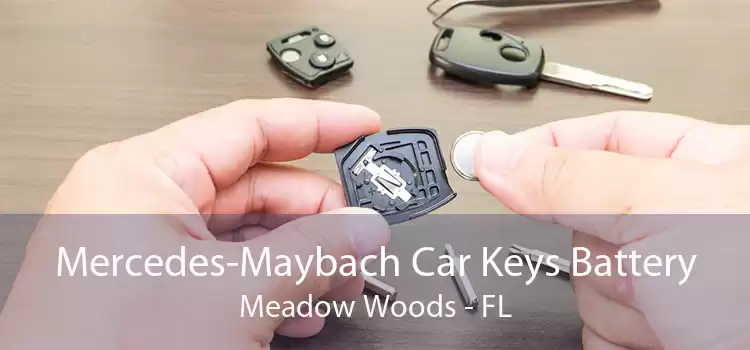 Mercedes-Maybach Car Keys Battery Meadow Woods - FL