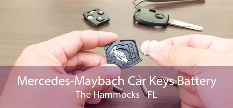 Mercedes-Maybach Car Keys Battery The Hammocks - FL