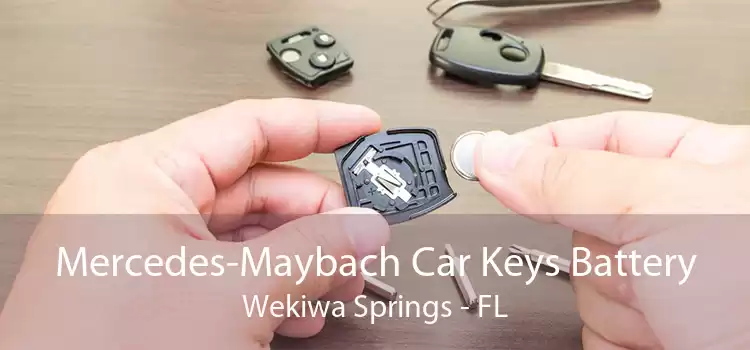 Mercedes-Maybach Car Keys Battery Wekiwa Springs - FL