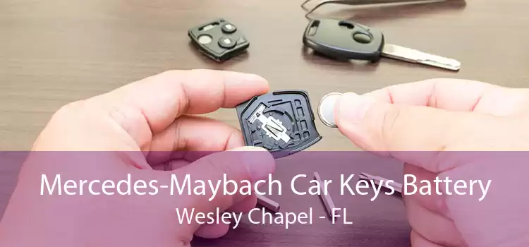 Mercedes-Maybach Car Keys Battery Wesley Chapel - FL