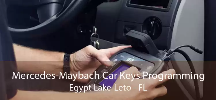 Mercedes-Maybach Car Keys Programming Egypt Lake-Leto - FL