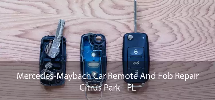 Mercedes-Maybach Car Remote And Fob Repair Citrus Park - FL