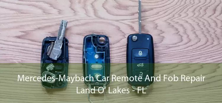 Mercedes-Maybach Car Remote And Fob Repair Land O' Lakes - FL