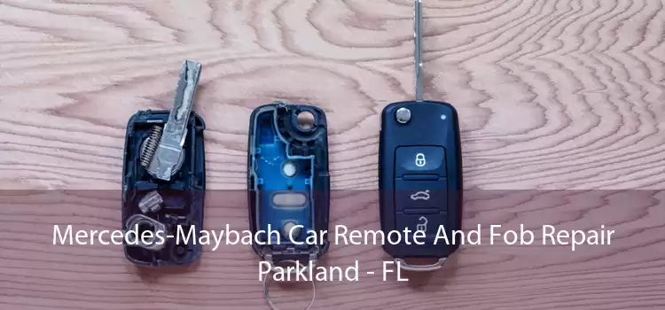 Mercedes-Maybach Car Remote And Fob Repair Parkland - FL