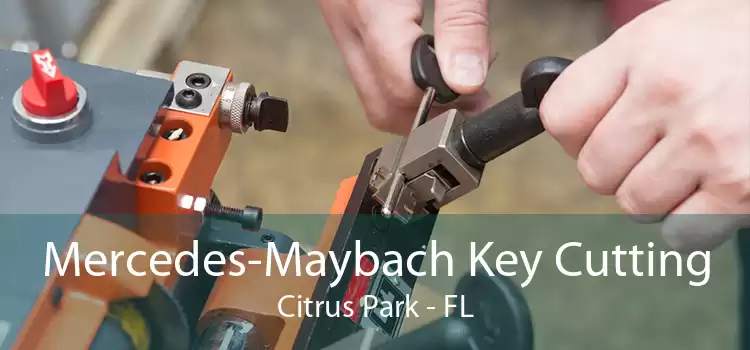 Mercedes-Maybach Key Cutting Citrus Park - FL