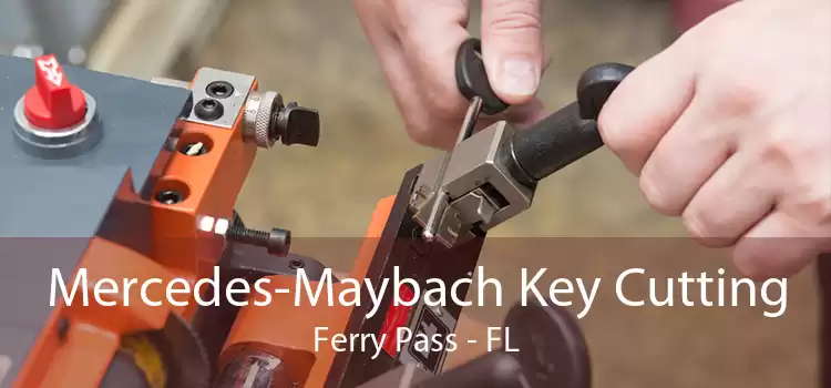 Mercedes-Maybach Key Cutting Ferry Pass - FL