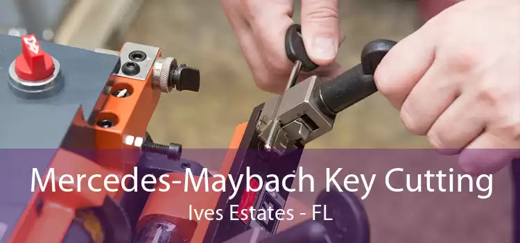 Mercedes-Maybach Key Cutting Ives Estates - FL