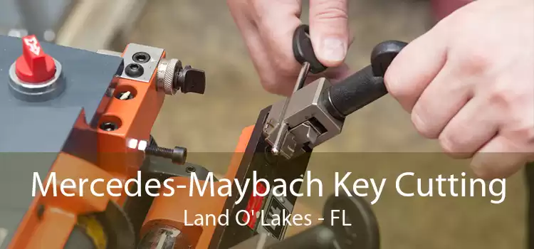 Mercedes-Maybach Key Cutting Land O' Lakes - FL
