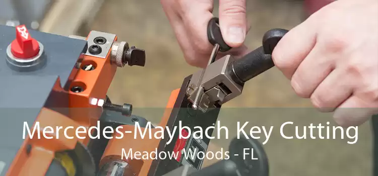 Mercedes-Maybach Key Cutting Meadow Woods - FL