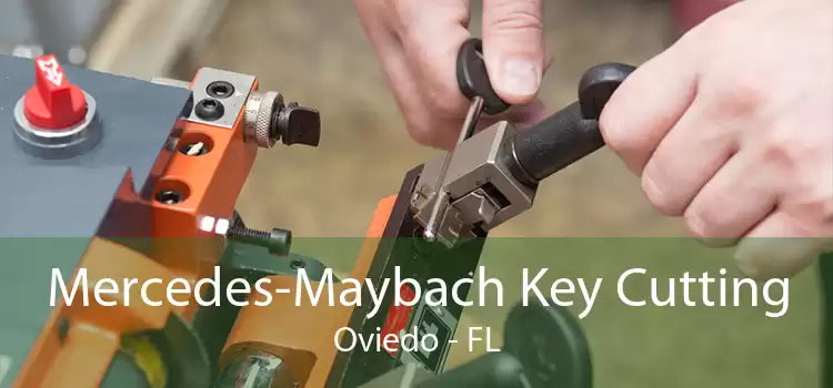 Mercedes-Maybach Key Cutting Oviedo - FL