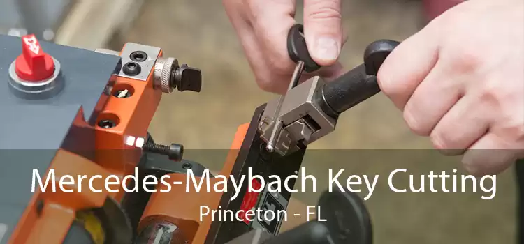 Mercedes-Maybach Key Cutting Princeton - FL