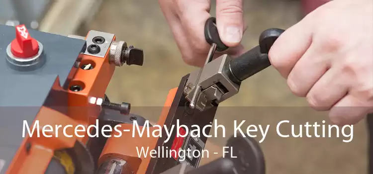 Mercedes-Maybach Key Cutting Wellington - FL