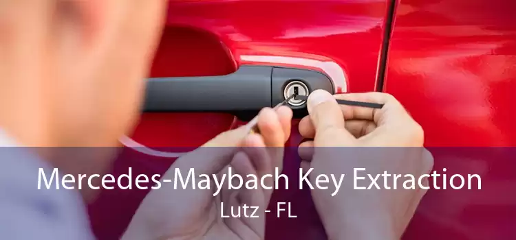 Mercedes-Maybach Key Extraction Lutz - FL