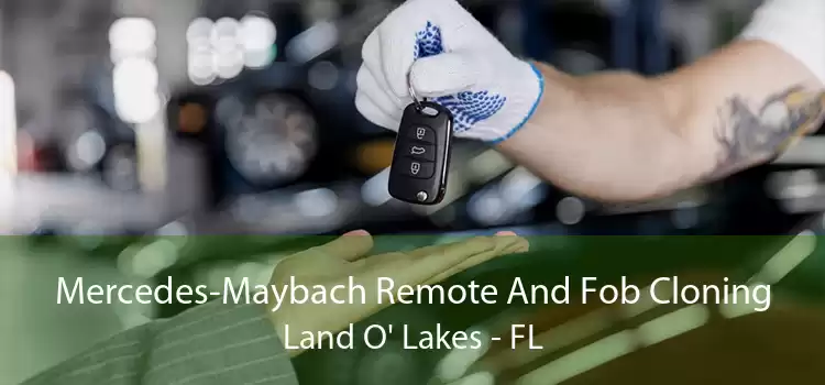 Mercedes-Maybach Remote And Fob Cloning Land O' Lakes - FL