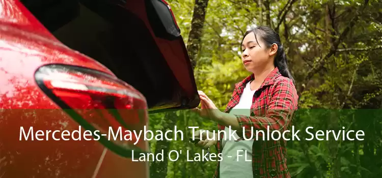 Mercedes-Maybach Trunk Unlock Service Land O' Lakes - FL