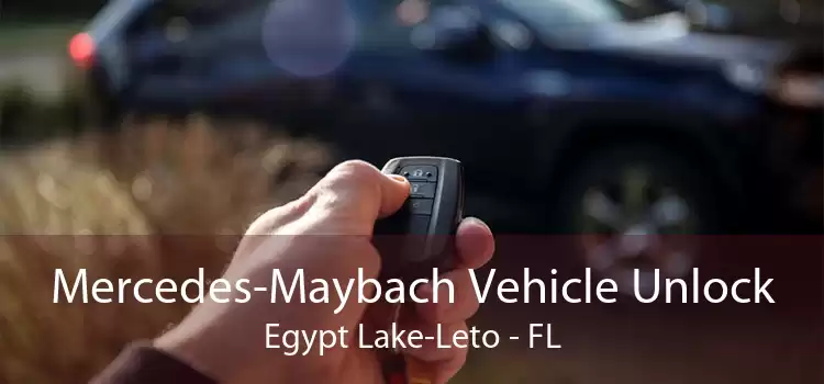 Mercedes-Maybach Vehicle Unlock Egypt Lake-Leto - FL