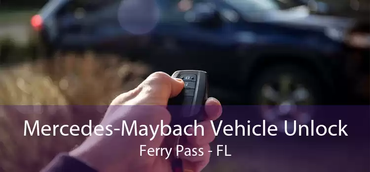 Mercedes-Maybach Vehicle Unlock Ferry Pass - FL