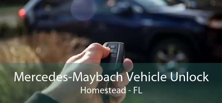 Mercedes-Maybach Vehicle Unlock Homestead - FL
