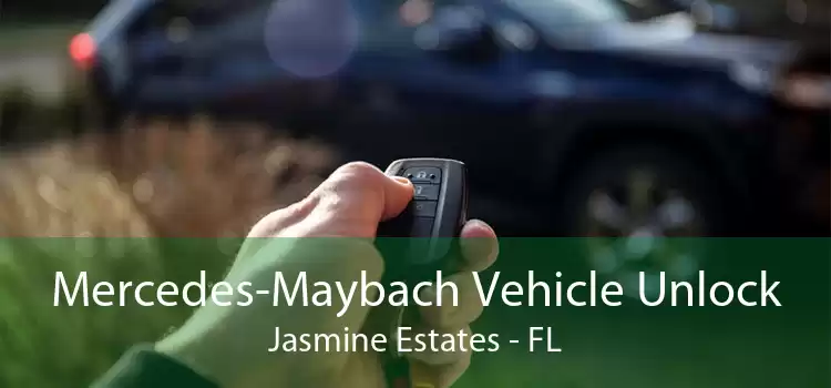 Mercedes-Maybach Vehicle Unlock Jasmine Estates - FL