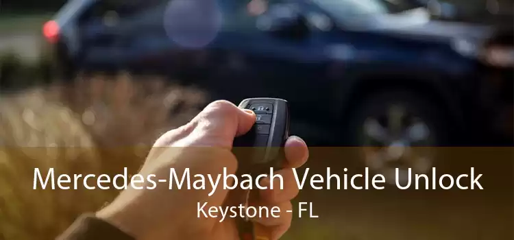 Mercedes-Maybach Vehicle Unlock Keystone - FL