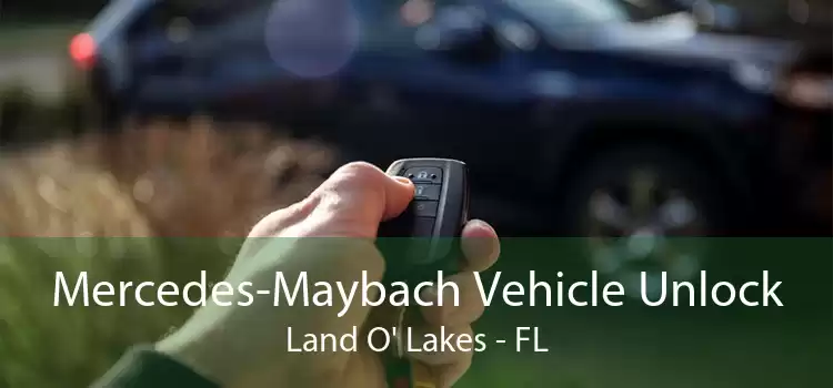 Mercedes-Maybach Vehicle Unlock Land O' Lakes - FL