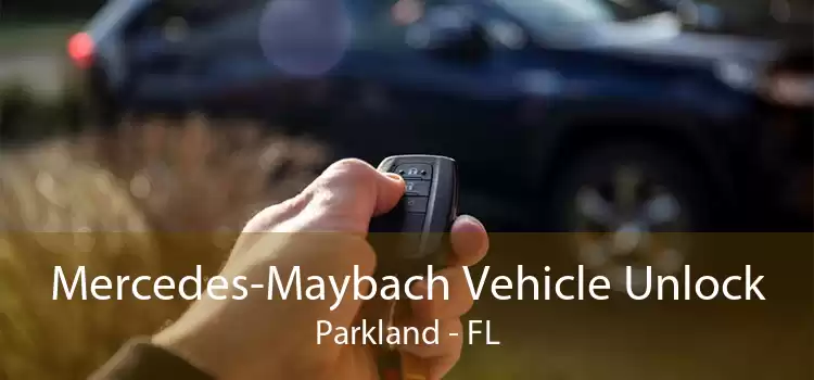 Mercedes-Maybach Vehicle Unlock Parkland - FL