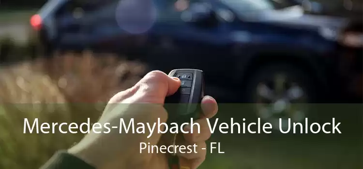 Mercedes-Maybach Vehicle Unlock Pinecrest - FL