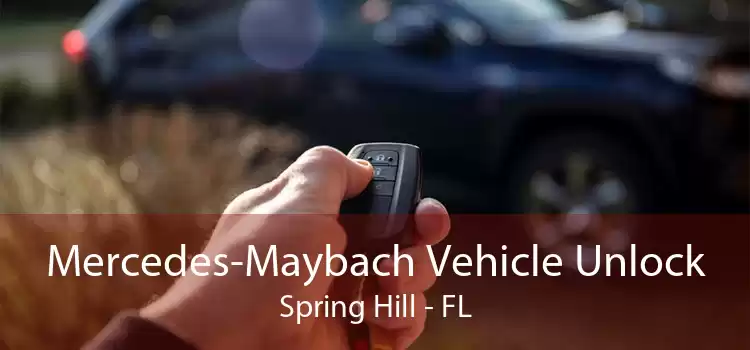Mercedes-Maybach Vehicle Unlock Spring Hill - FL
