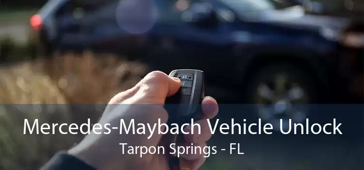 Mercedes-Maybach Vehicle Unlock Tarpon Springs - FL
