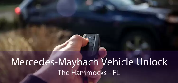 Mercedes-Maybach Vehicle Unlock The Hammocks - FL