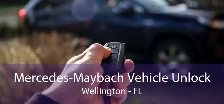 Mercedes-Maybach Vehicle Unlock Wellington - FL