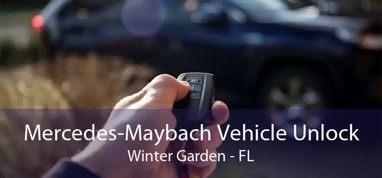 Mercedes-Maybach Vehicle Unlock Winter Garden - FL