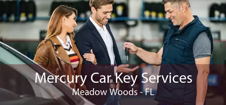 Mercury Car Key Services Meadow Woods - FL