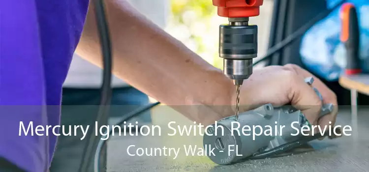 Mercury Ignition Switch Repair Service Country Walk - FL