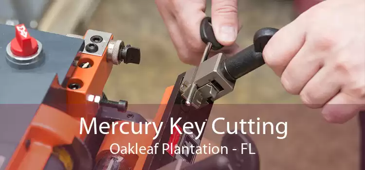 Mercury Key Cutting Oakleaf Plantation - FL