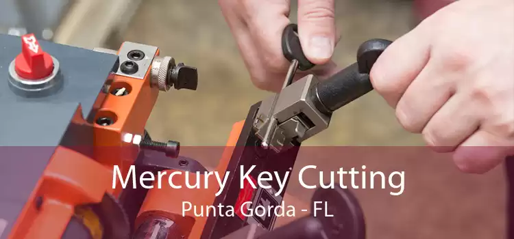 Mercury Key Cutting Punta Gorda - FL
