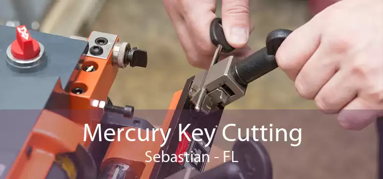 Mercury Key Cutting Sebastian - FL