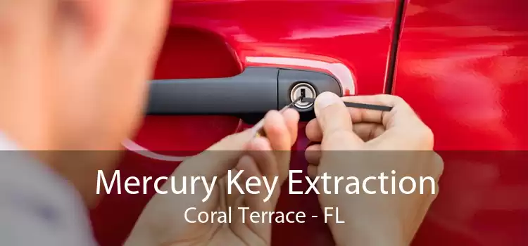 Mercury Key Extraction Coral Terrace - FL