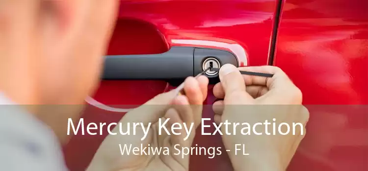 Mercury Key Extraction Wekiwa Springs - FL