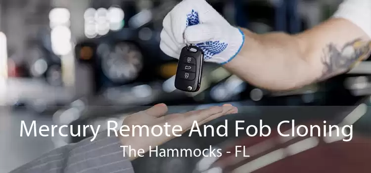 Mercury Remote And Fob Cloning The Hammocks - FL