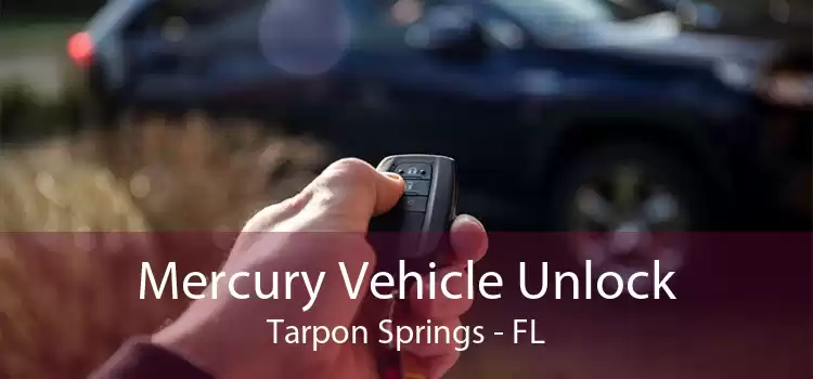 Mercury Vehicle Unlock Tarpon Springs - FL