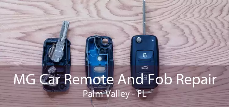 MG Car Remote And Fob Repair Palm Valley - FL