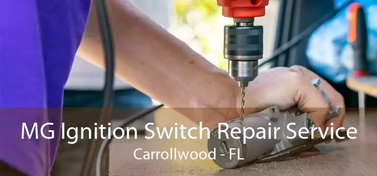 MG Ignition Switch Repair Service Carrollwood - FL
