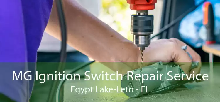 MG Ignition Switch Repair Service Egypt Lake-Leto - FL