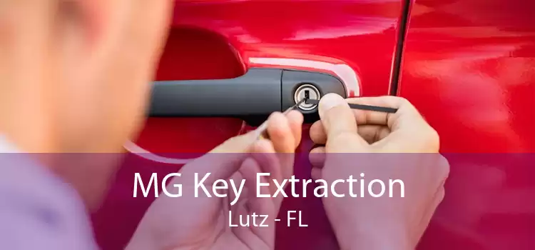 MG Key Extraction Lutz - FL