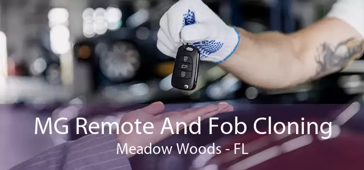 MG Remote And Fob Cloning Meadow Woods - FL