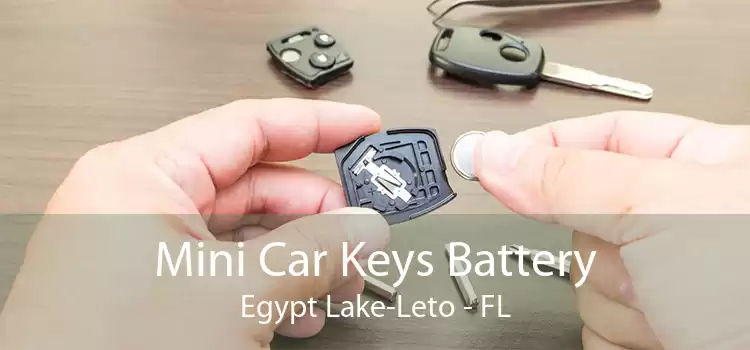 Mini Car Keys Battery Egypt Lake-Leto - FL